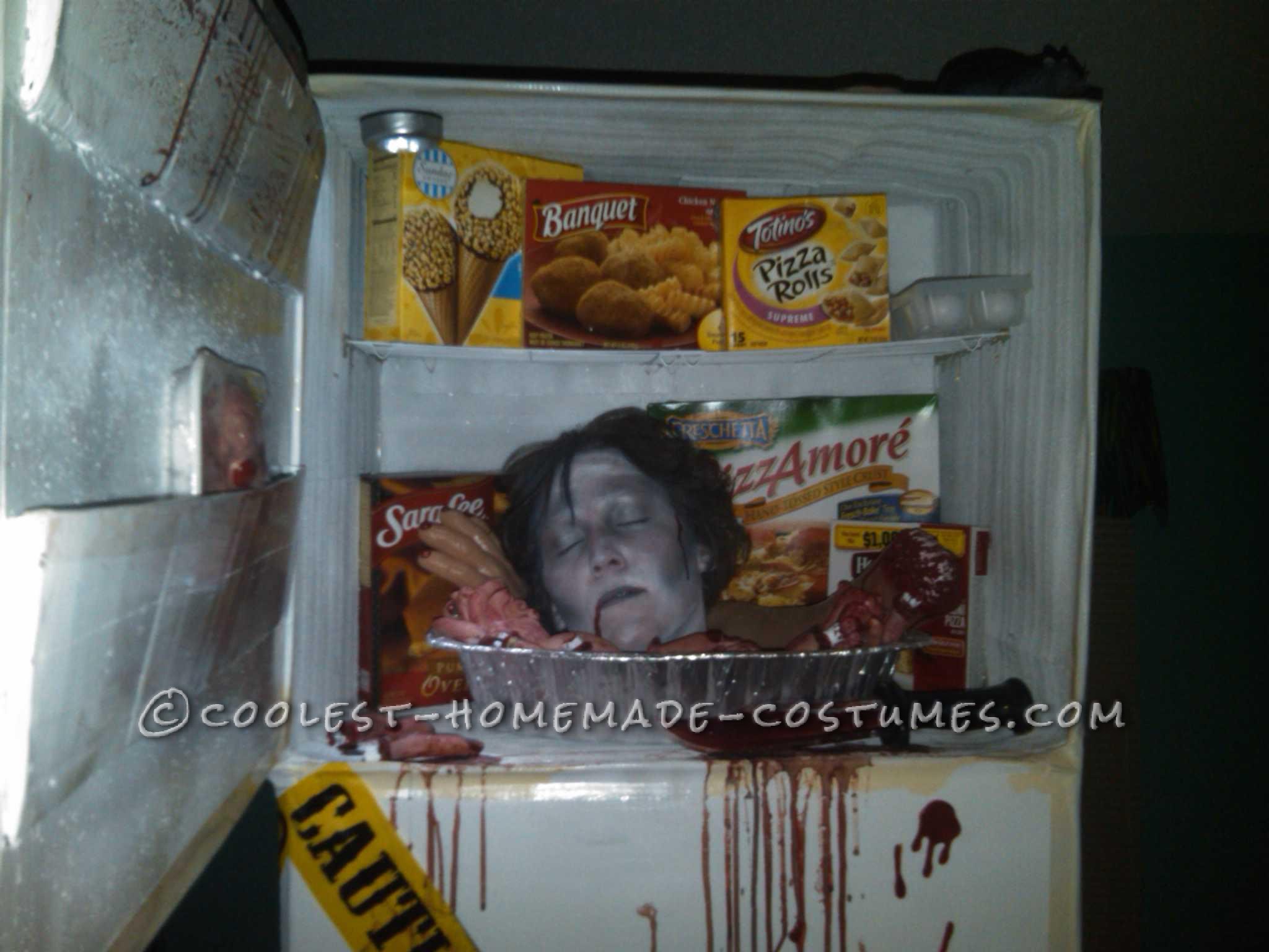 Creative Head in Freezer Costume Idea