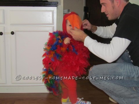 Coolest Homemade Puffy Parrot Costume for a Toddler