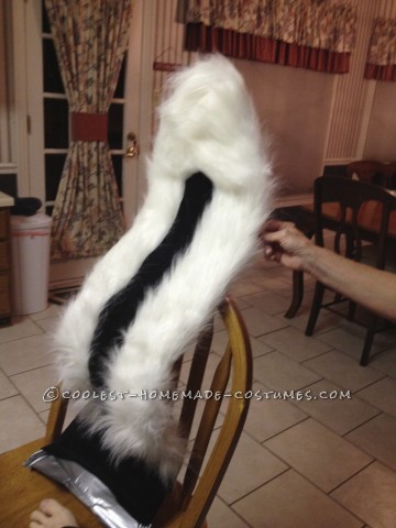 Coolest Homemade Skunk Costume