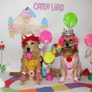 Homemade King Candy and Princess Lolly Costumes for our Pet Dogs