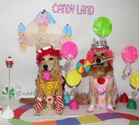 The game of Candyland has come to life. Gryphon is King Kandy, standing in front of his special Candy Castle. Phoenix is Princess Lolly, living happi