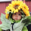 Easiest-Ever and Most-Adorable Homemade Baby Sunflower Costume