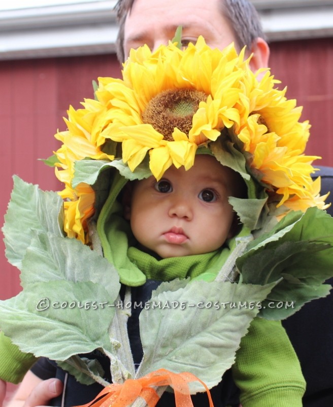 Easiest-Ever and Most-Adorable Homemade Baby Sunflower Costume