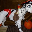 Cool Homemade Pirate Costume for a Dog