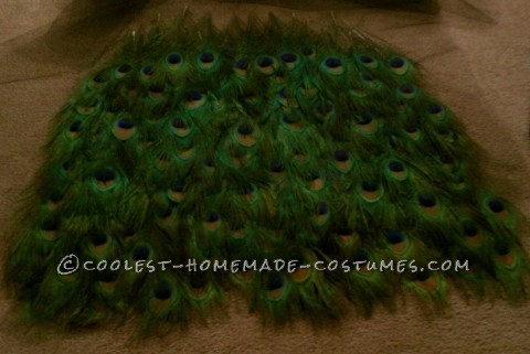 Bartender-Friendly Peacock Costume