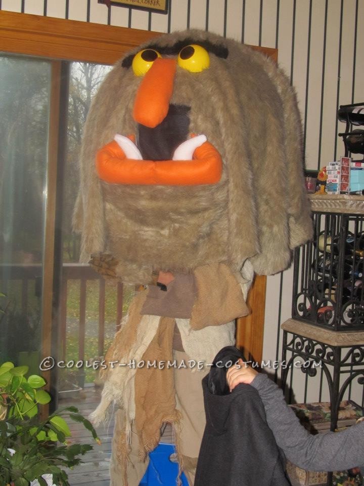 Best Homemade Muppet Costume: Sweetums