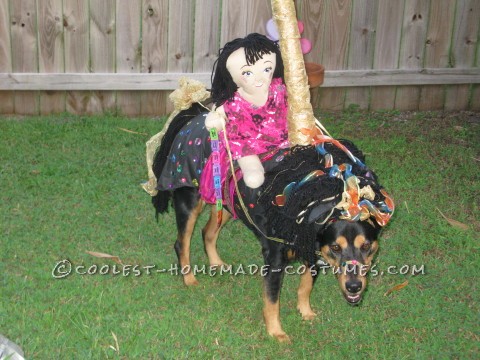 Funny Carousel Horse Costume for a Dog