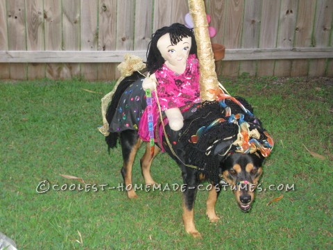 Funny Carousel Horse Costume for a Dog