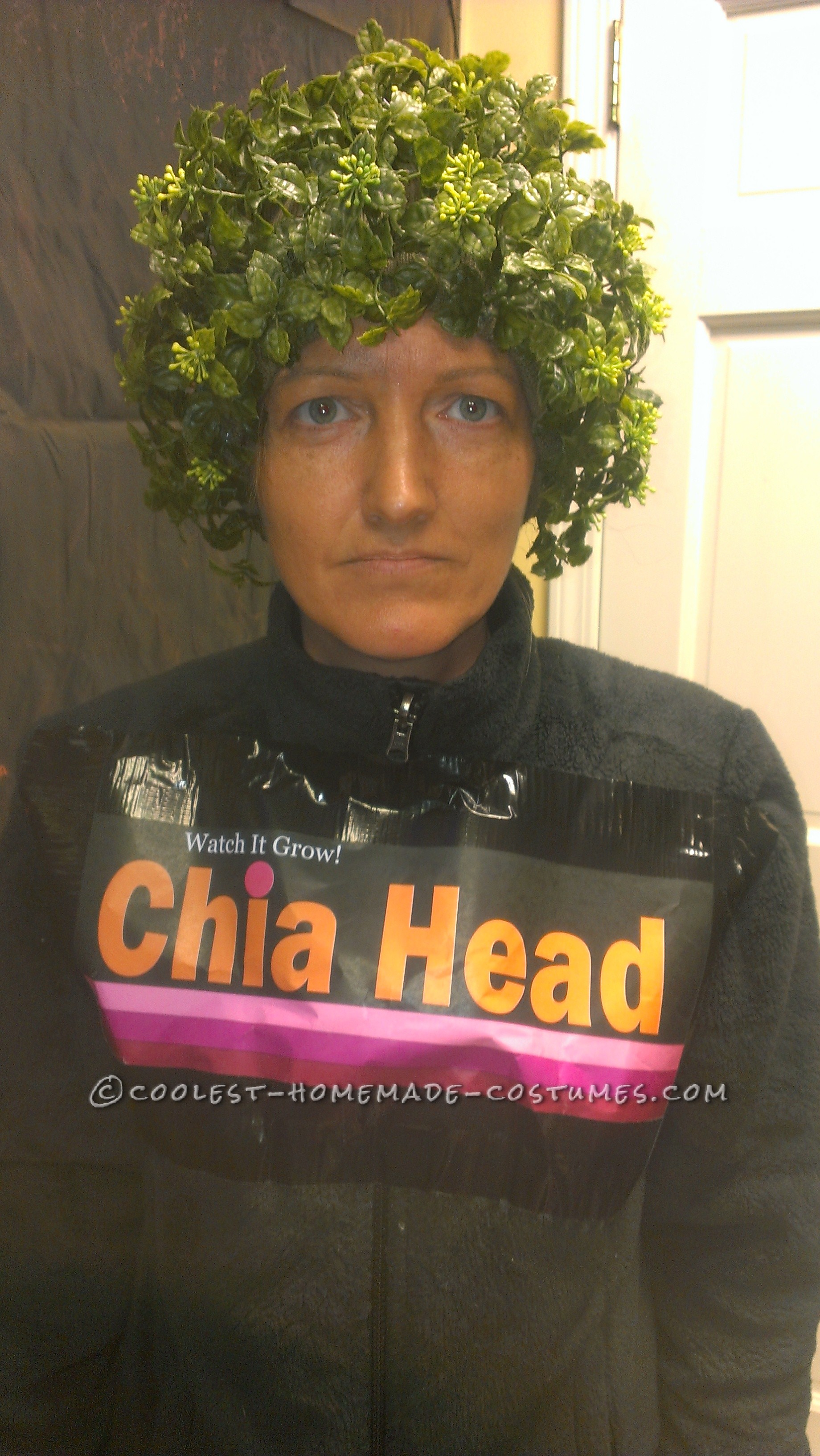 Last-Minute Original Chia Head Costume