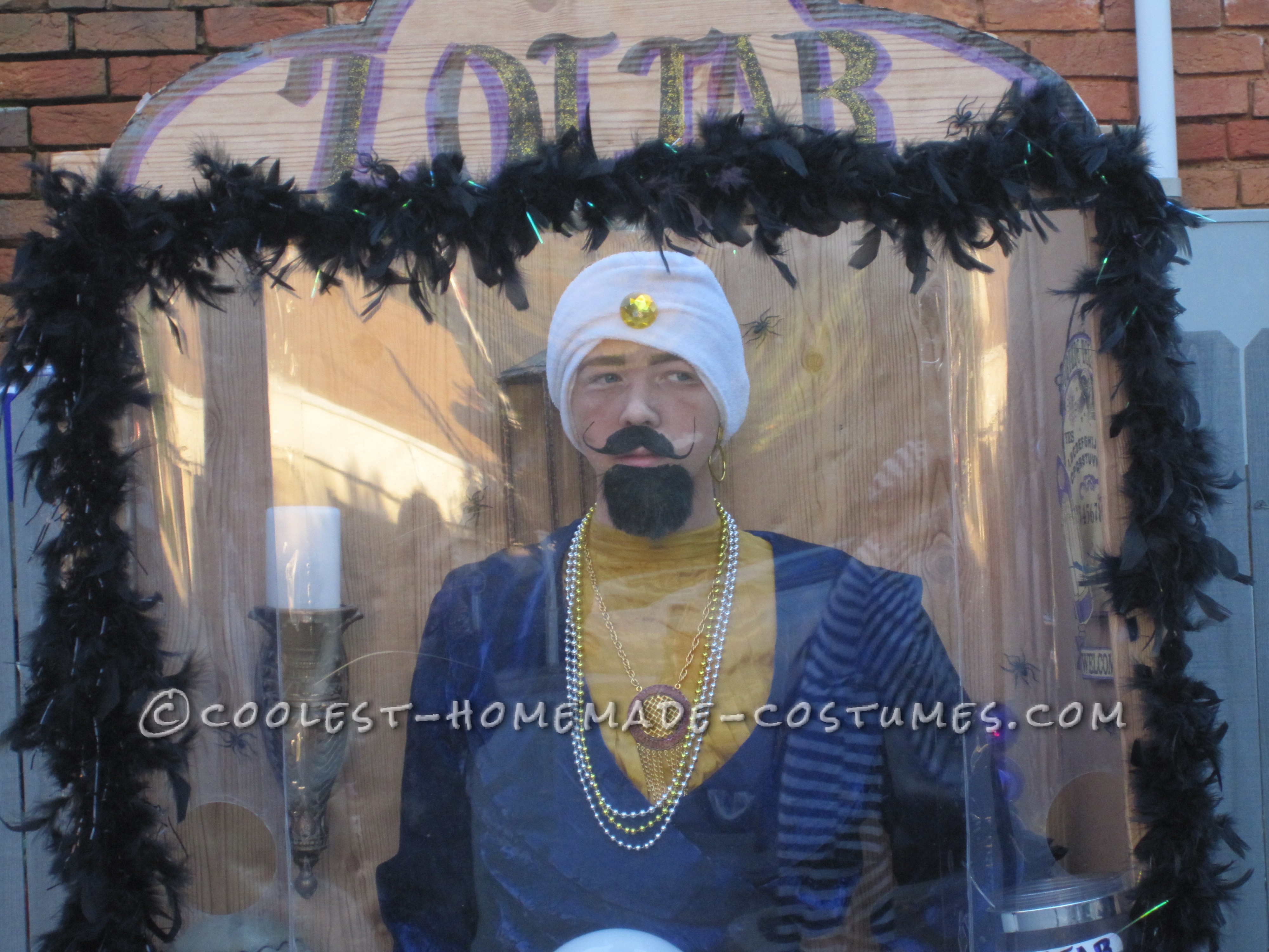 Cheap and Easy Zoltar Fortune Telling Costume