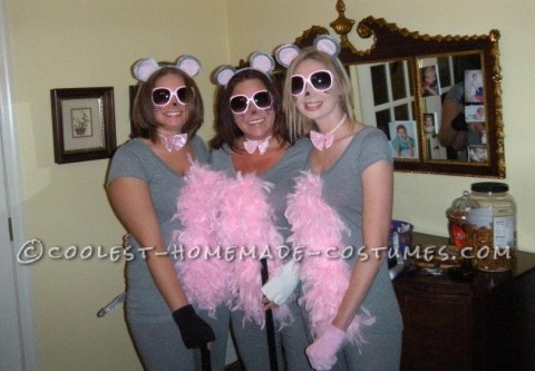 Cutest Homemade Three Blind Mice Costume for Ladies!
