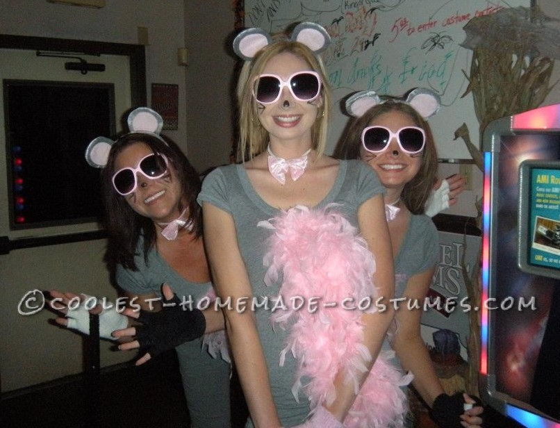 Cutest Homemade Three Blind Mice Costume for Ladies!