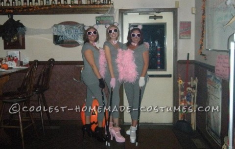Cutest Homemade Three Blind Mice Costume for Ladies!