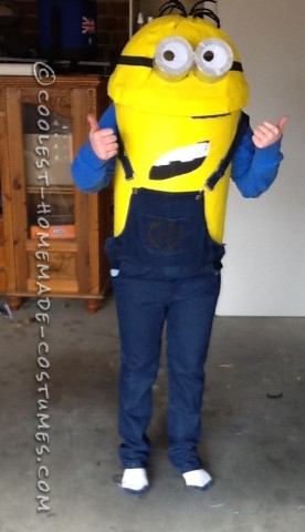 Coolest Despicable Me Minions Group Costume