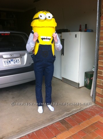 Coolest Despicable Me Minions Group Costume