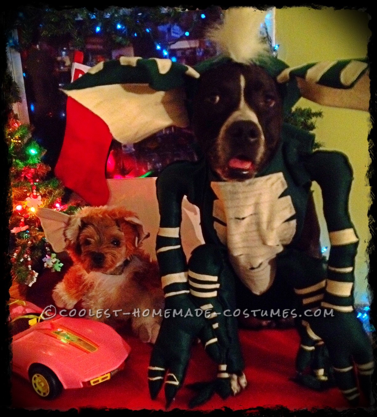 Cool Homemade Pet Dogs Costumes: Gremlins!