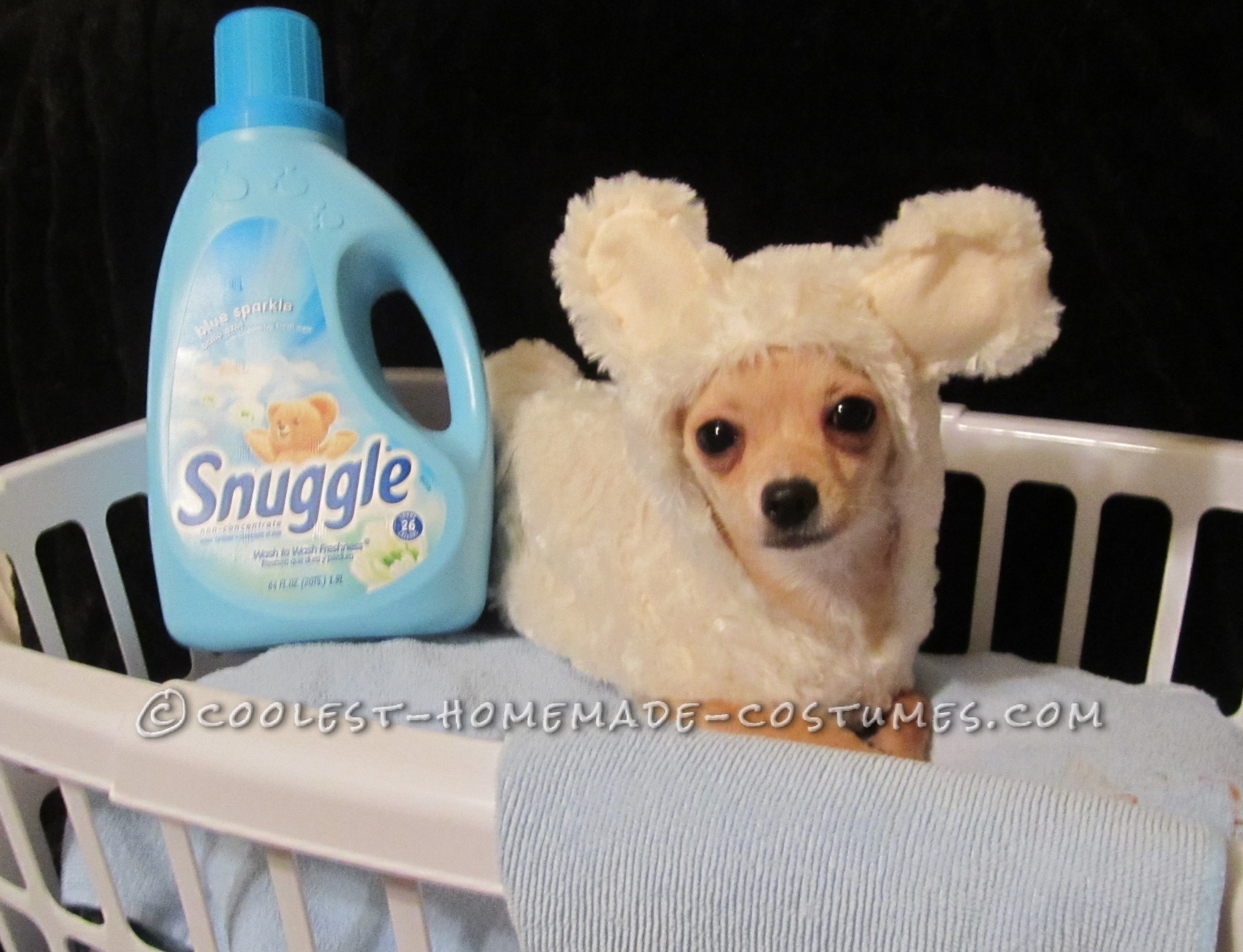 Easy, Cheap Snuggle Bear Costume For Pets
