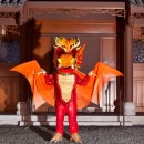 Explosive Dragon Costume