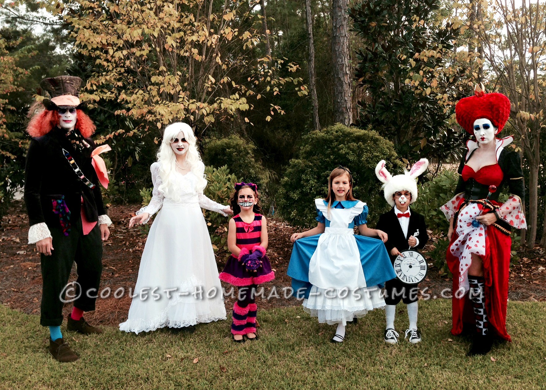 Awesome Family of Six Alice in Wonderland Group Costume