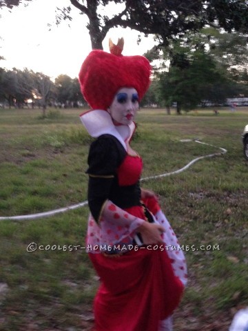 Awesome Family of Six Alice in Wonderland Group Costume