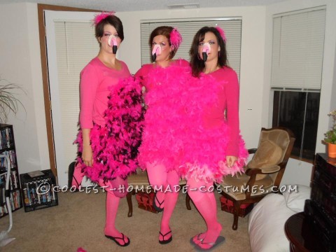 Great All-Girl Group Costume Idea: Pink Flamingo Yard Ornaments