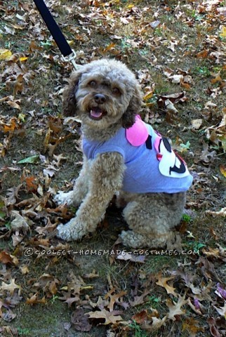 Funny Pet Dog Costumes: No Twerking Please...