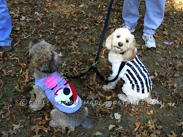 Funny Pet Dog Costumes: No Twerking Please...