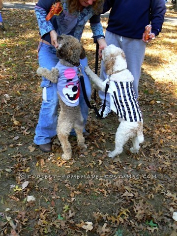 Funny Pet Dog Costumes: No Twerking Please...