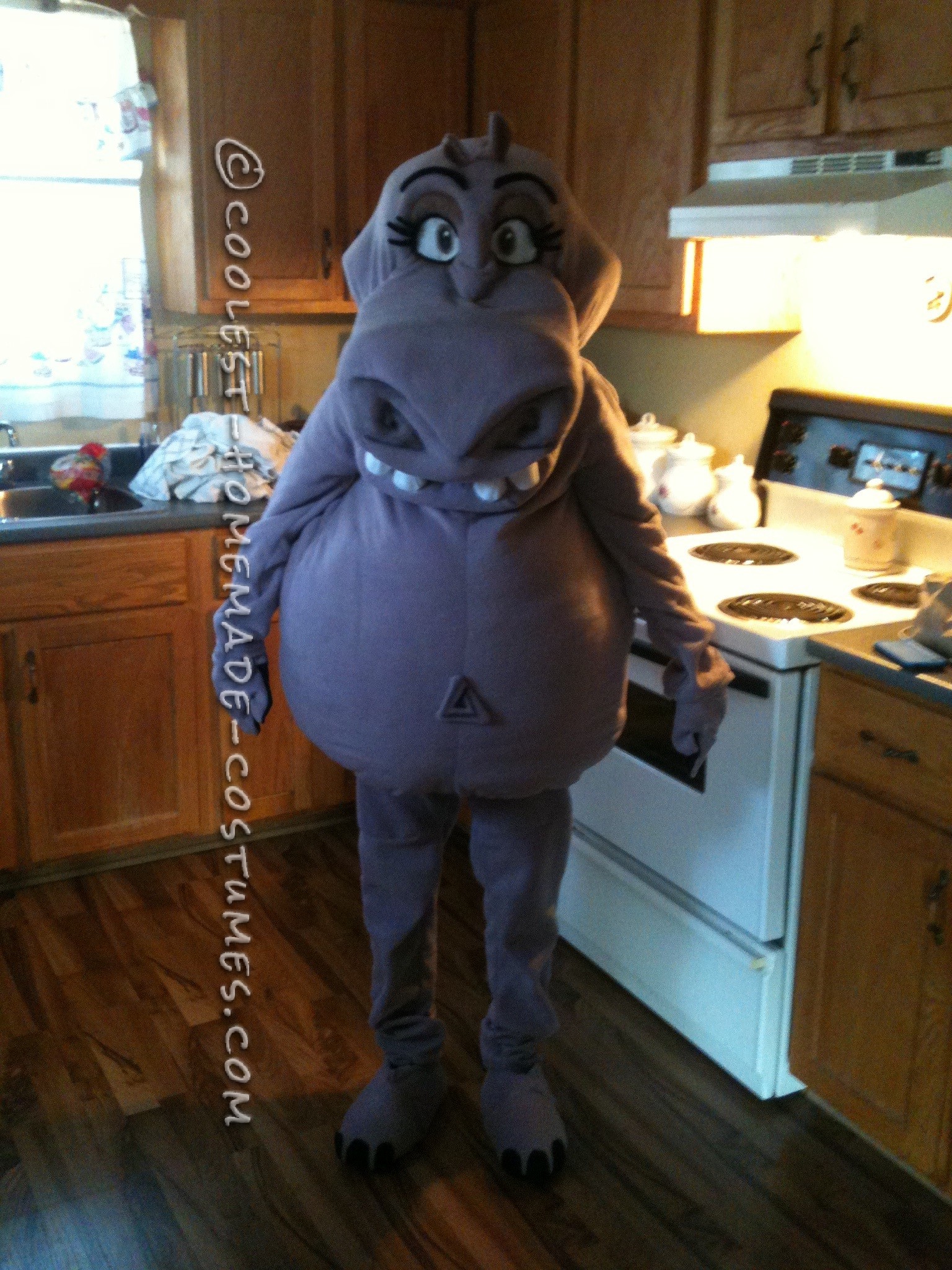 Coolest Homemade Gloria the Hippo Costume