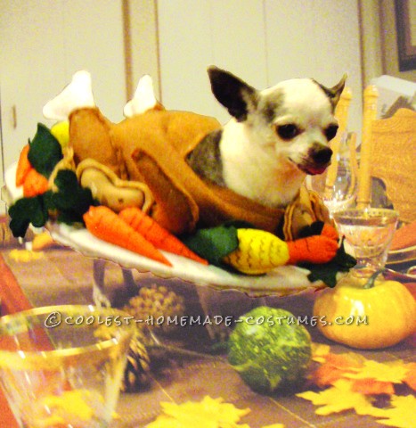 Funny Homemade Dog Costume: Gobble Til You Wobble