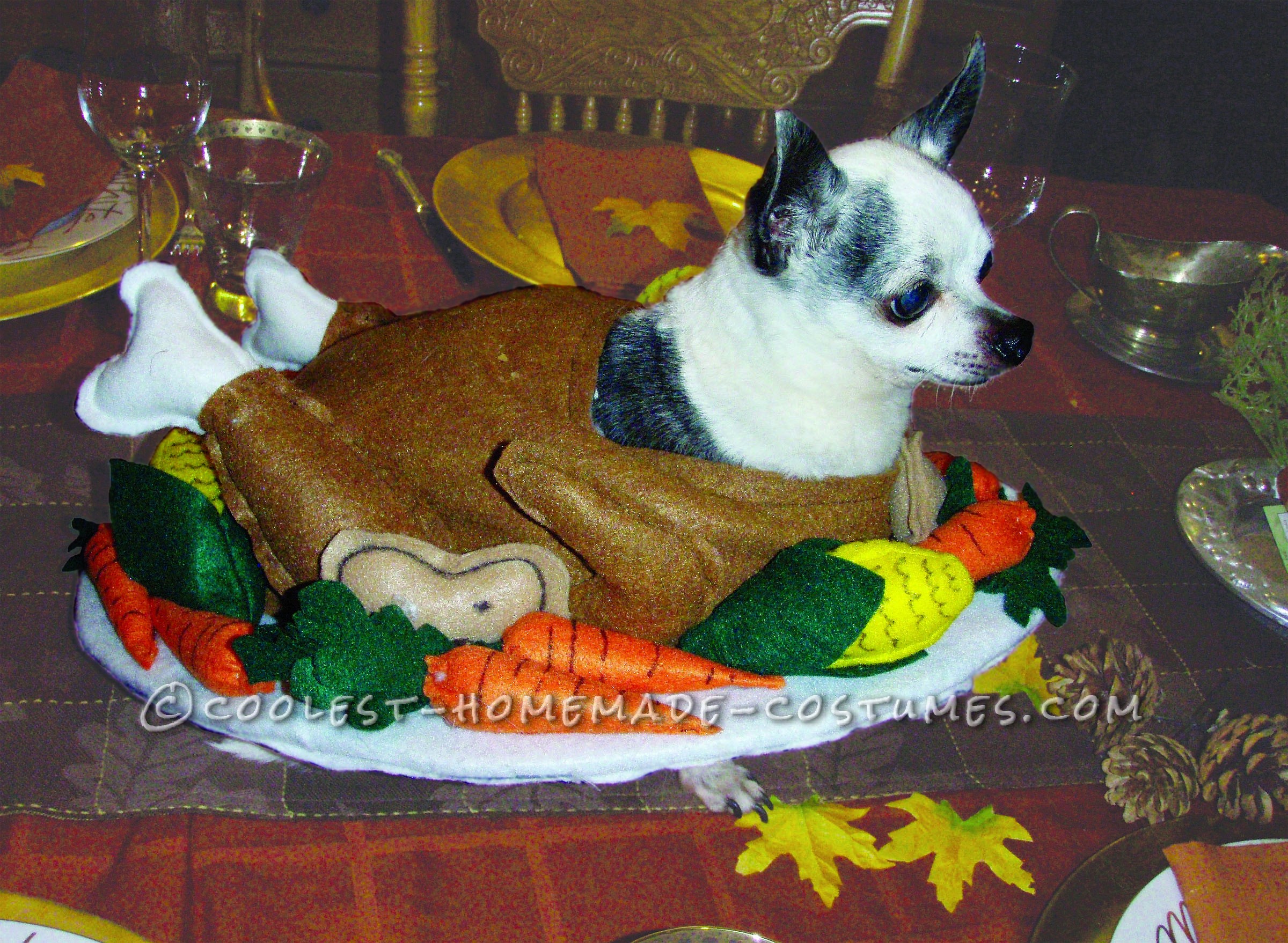 Funny Homemade Dog Costume: Gobble Til You Wobble