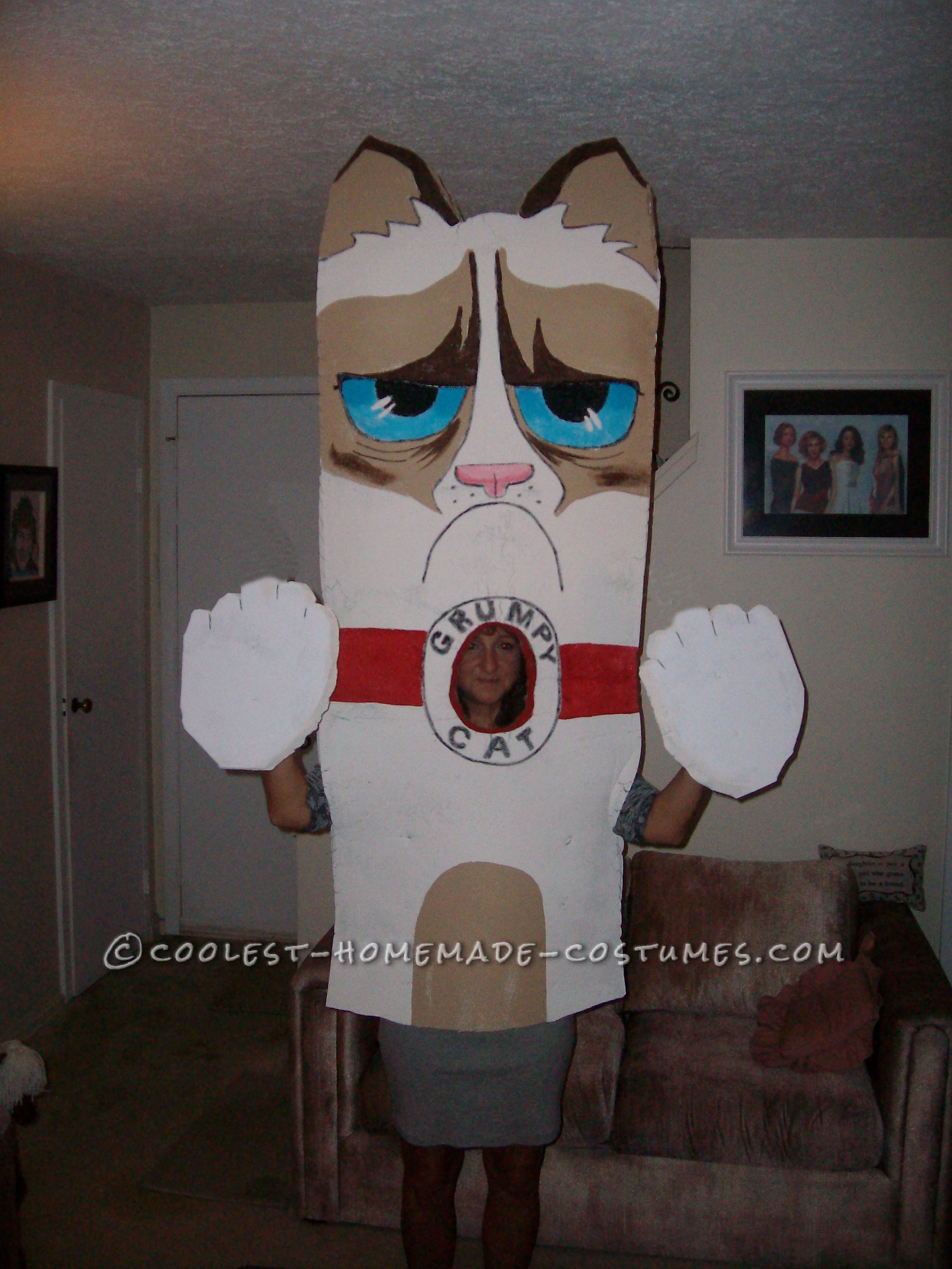 Homemade Grumpy Cat Costume from Facebook