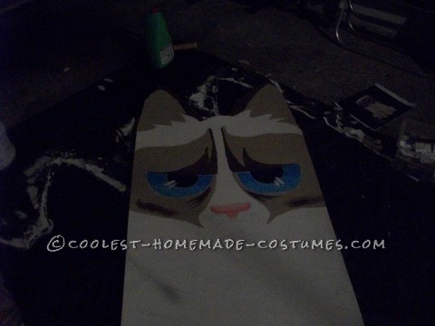 Homemade Grumpy Cat Costume from Facebook