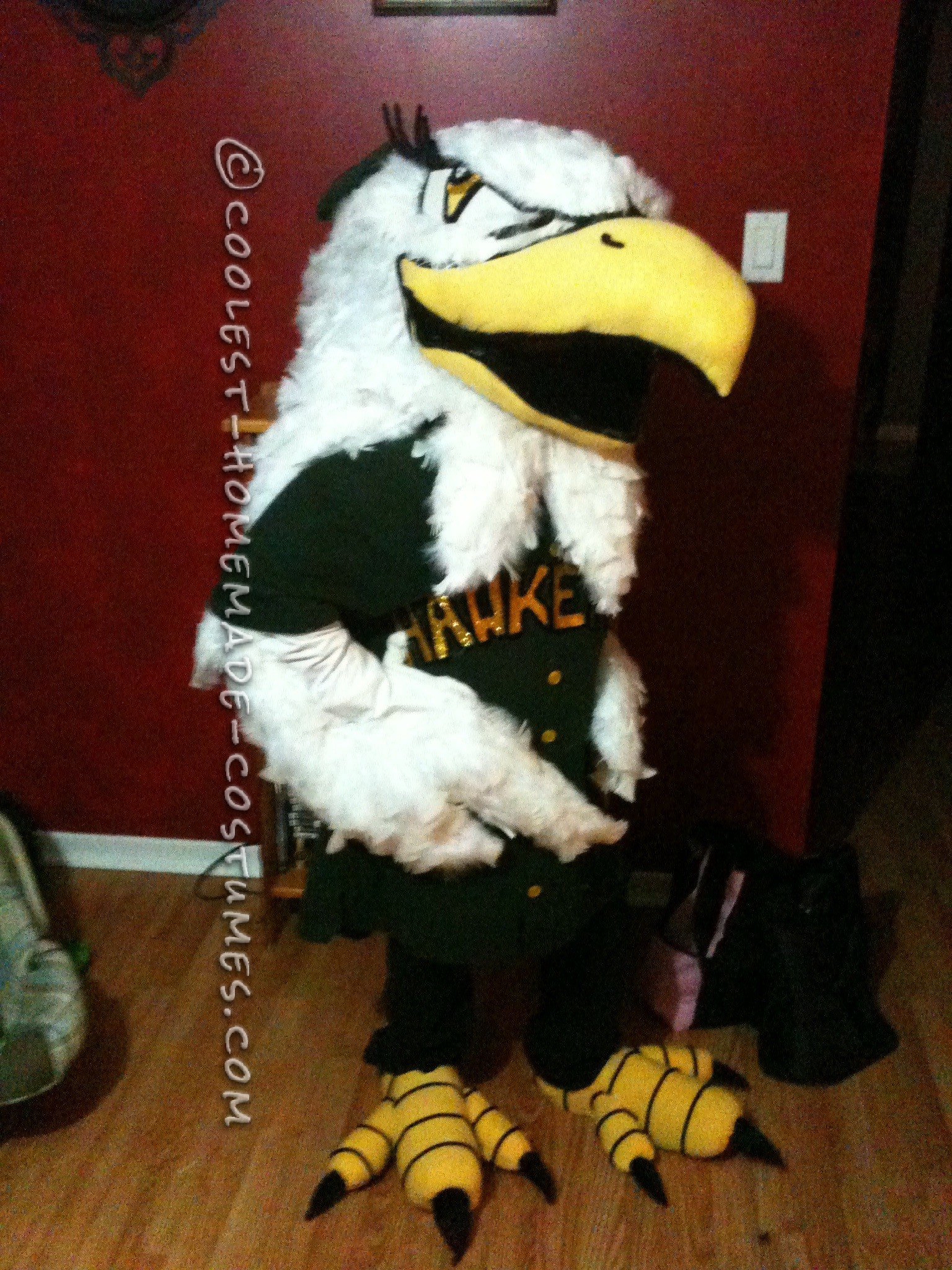 Entirely Homemade Hawkettes Mascot Costume