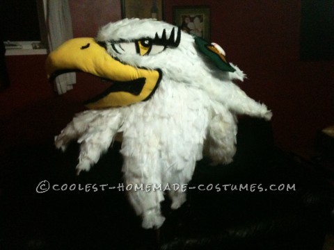 Entirely Homemade Hawkettes Mascot Costume