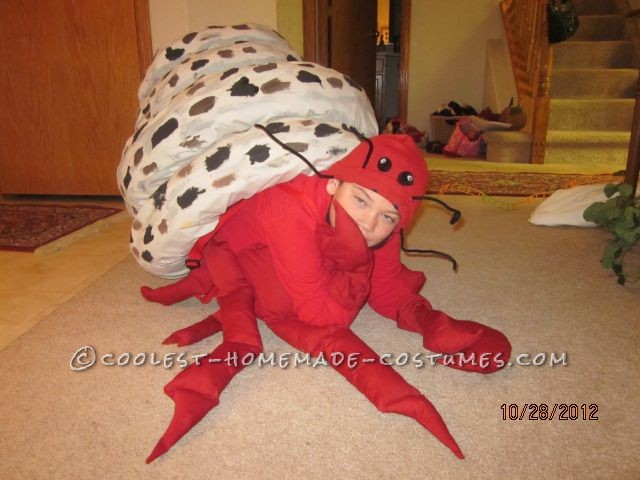 Coolest Homemade Hermit Crab Halloween Costume Idea