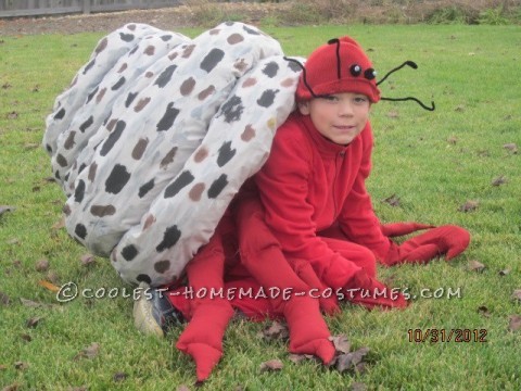 Coolest Homemade Hermit Crab Halloween Costume Idea