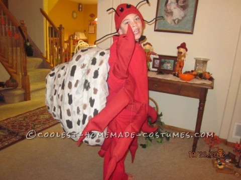 Coolest Homemade Hermit Crab Halloween Costume Idea