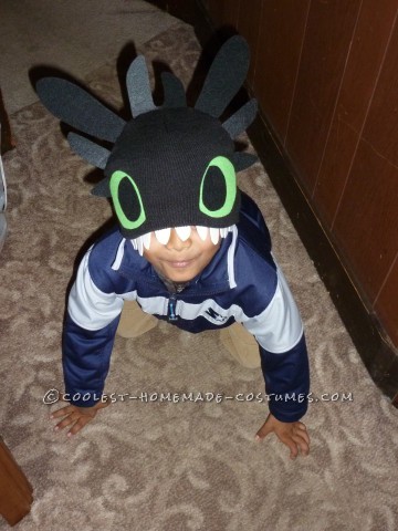 Father/Son DIY Costume: How to Train Your [Husband to be a] Dragon, and His Trainer!