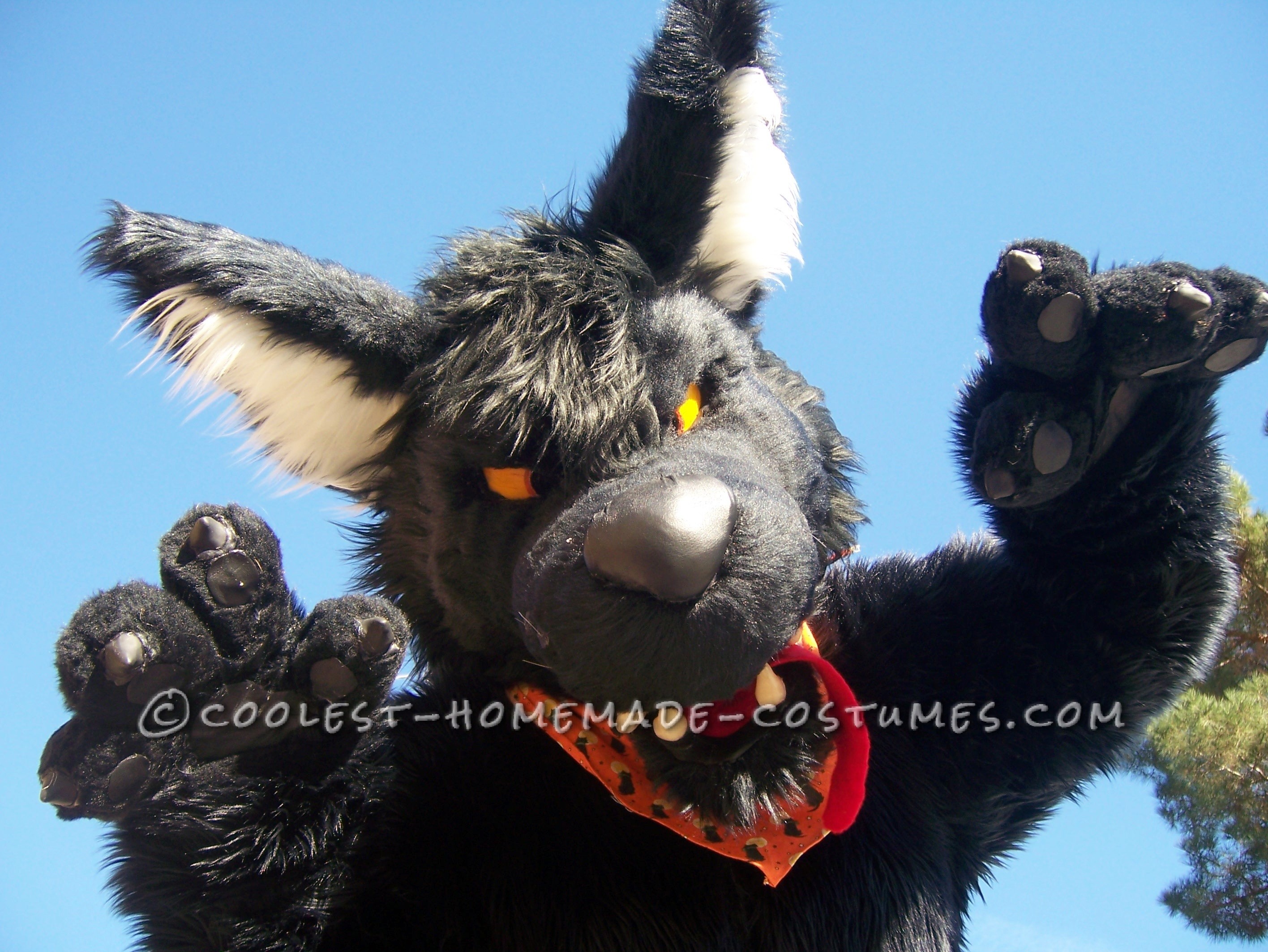 Original DIY Werewolf Costume (Named Kessler D. Quist)