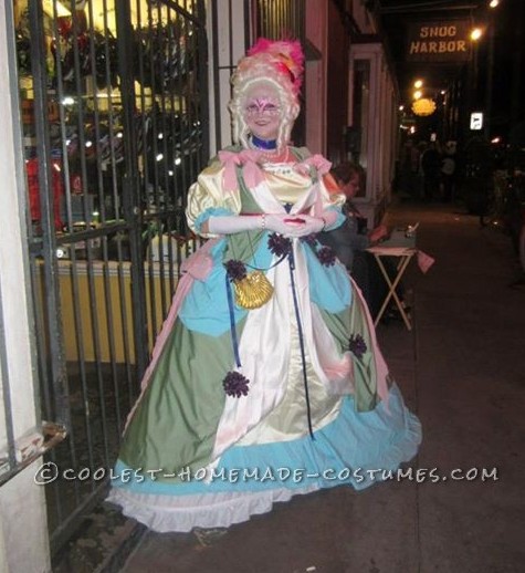 Classic Handmade Marie Antoinette Costume
