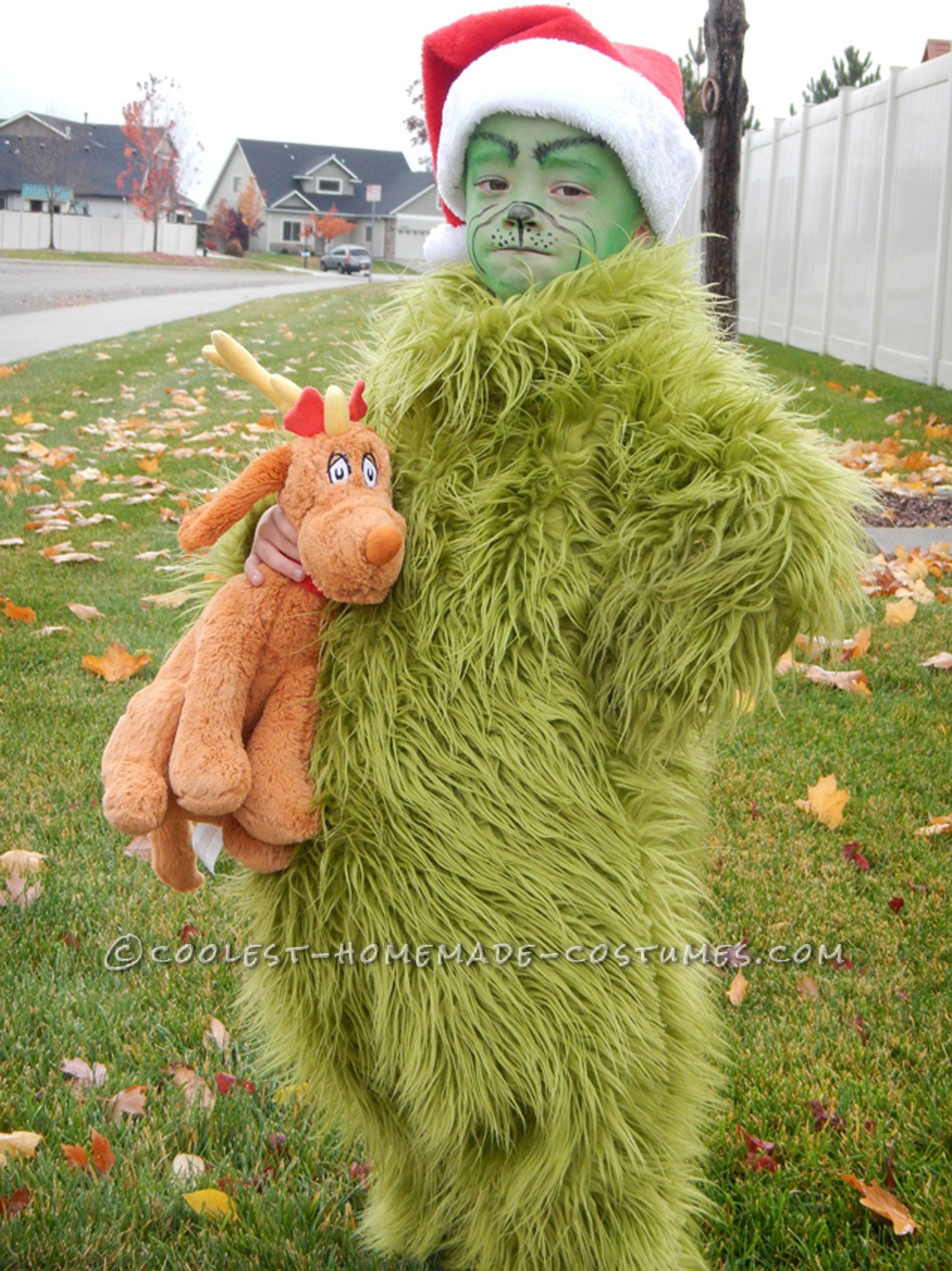 Cool Homemade Halloween Costume: The Grinch Who Stole Christmas (and the Show!)