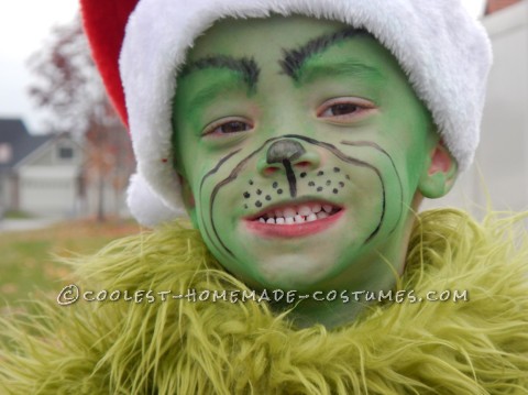 Cool Homemade Halloween Costume: The Grinch Who Stole Christmas (and the Show!)