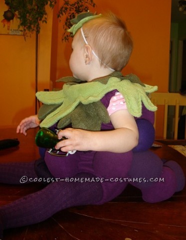 Sweet Homemade Costume for a Baby: Little Baby Grape