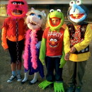 My Muppets Homemade Group Costume