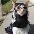 One of A Kind Biker Cat Costume