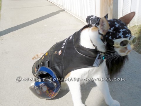 One of A Kind Biker Cat Costume