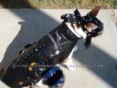 One of A Kind Biker Cat Costume