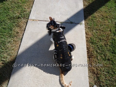 One of A Kind Biker Cat Costume