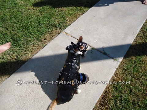 One of A Kind Biker Cat Costume